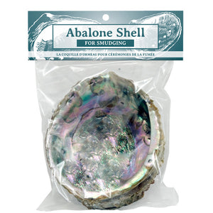 Abalone Shell - Large